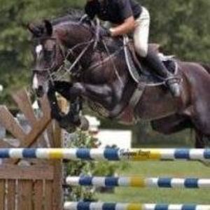 Meet your Posher, Roberto